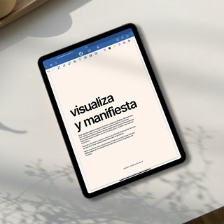 Manifestation Journal